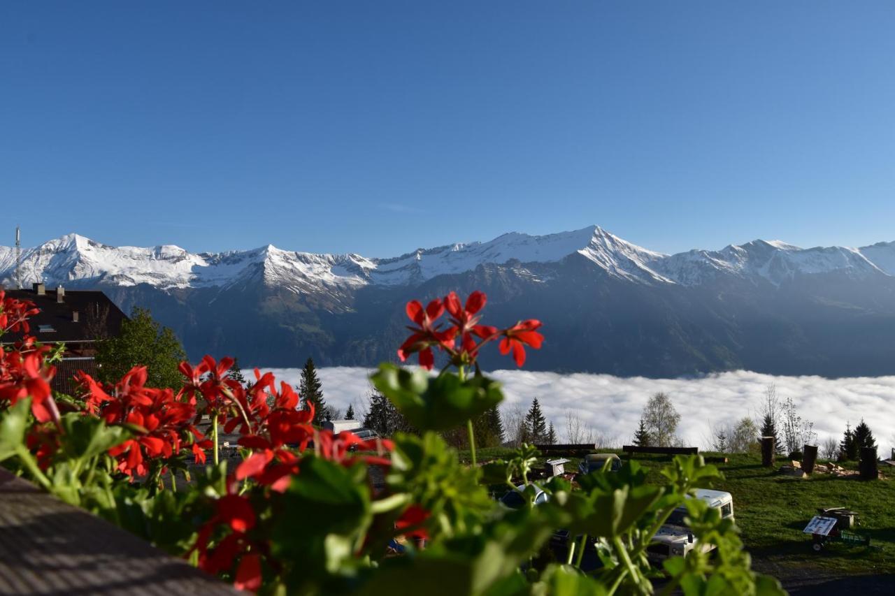 Chemihuettli Apartments Axalp Exterior foto